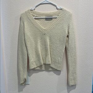 Everlane Soft Cream V-Neck Sweater